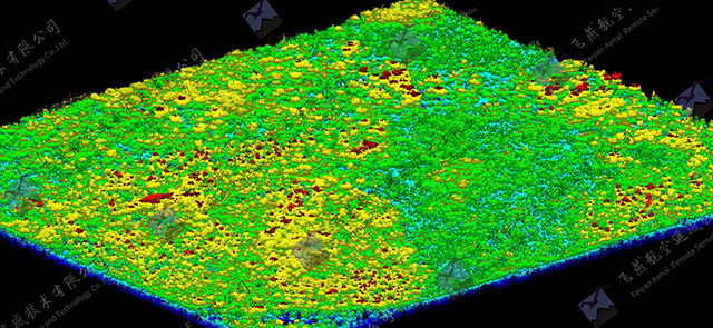 飛(fēi)燕遙感激光(guāng)點雲成果林(lín)業CHM(1).jpg