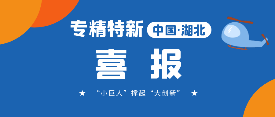 喜報!飛(fēi)燕遙感成功入選省級專精特新“小巨人(rén)”企業